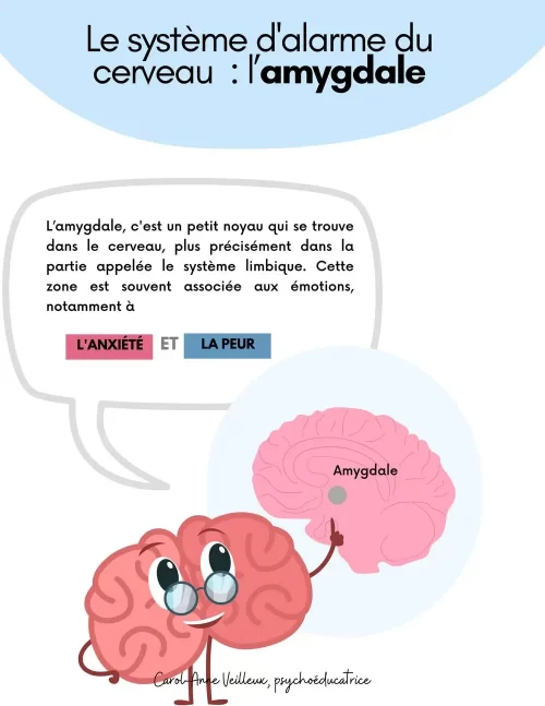 Le-système-d_alarme-du-cerveau-Soutiensolutions