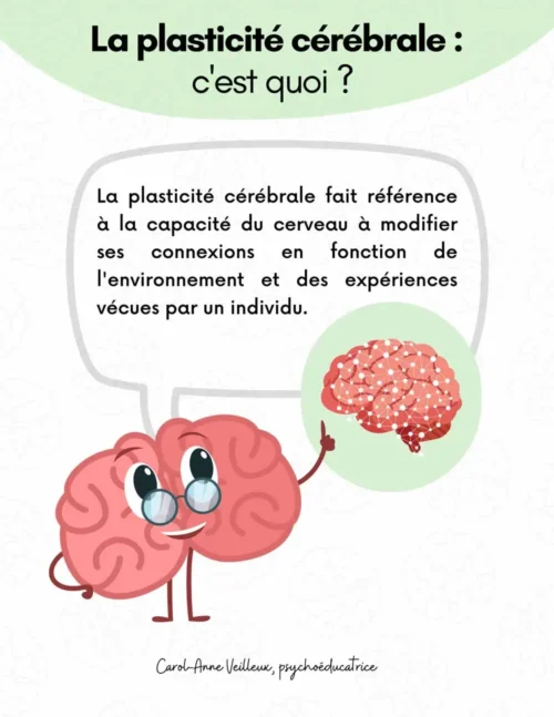 La plasticité cérébrale