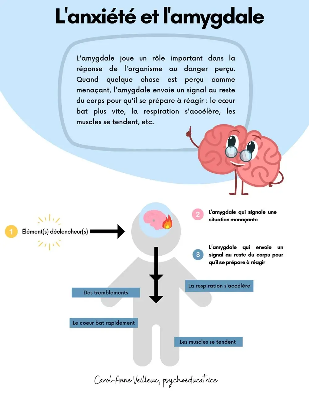 Le système d'alarme du cerveau – Image 2