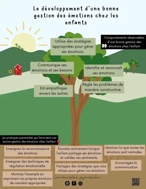 Dev d'une bonne gestion des émotions - Soutiensolutions