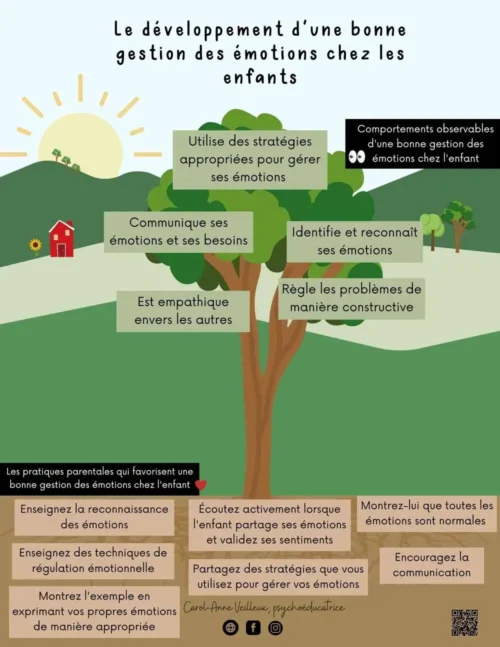 Dev d'une bonne gestion des émotions