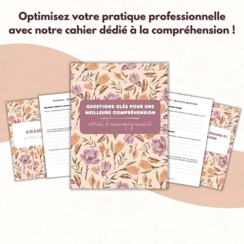Cahier Intervenant - Questions clés pour une meilleure compréhension 2 - Rose - Soutiensolutions