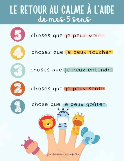 Le Retour au Calme à l'Aide de Mes 5 Sens