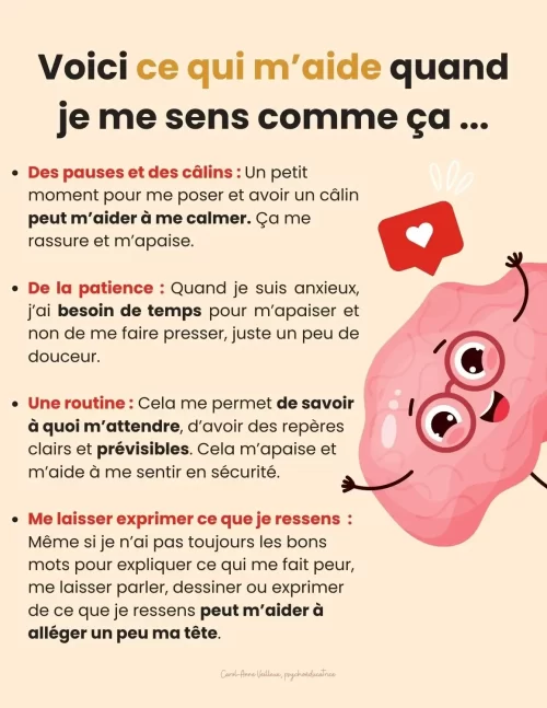 Le Petit Cerveau anxieux de Votre Enfant – Image 5