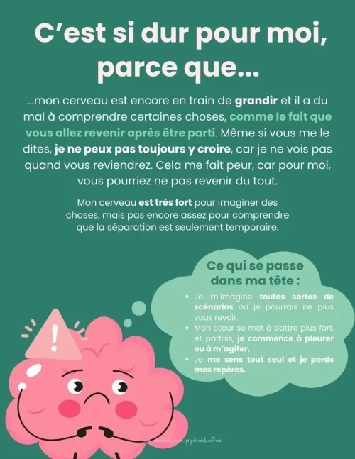 L’anxiété de séparation et le petit cerveau – Image 3
