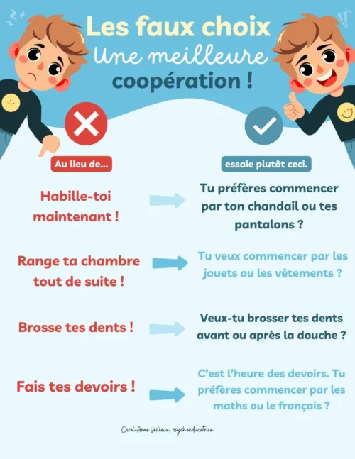 Les faux choix - Une meilleure coopération - Soutiensolutions