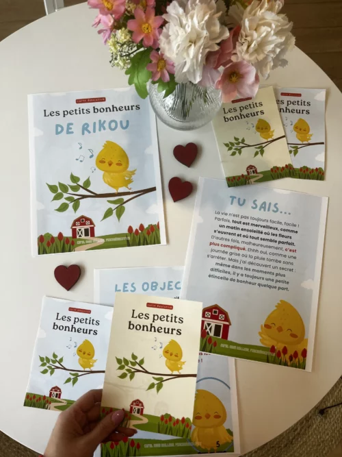 Les petits bonheurs de Rikou - Hero2 - Soutiensolutions