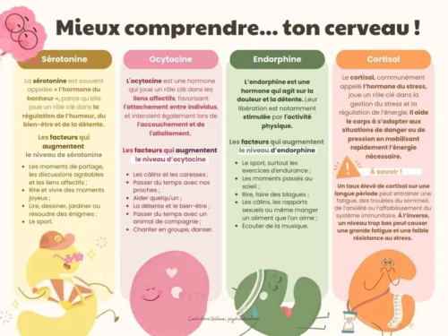 Mieux comprendre ton cerveau - Soutiensolutions