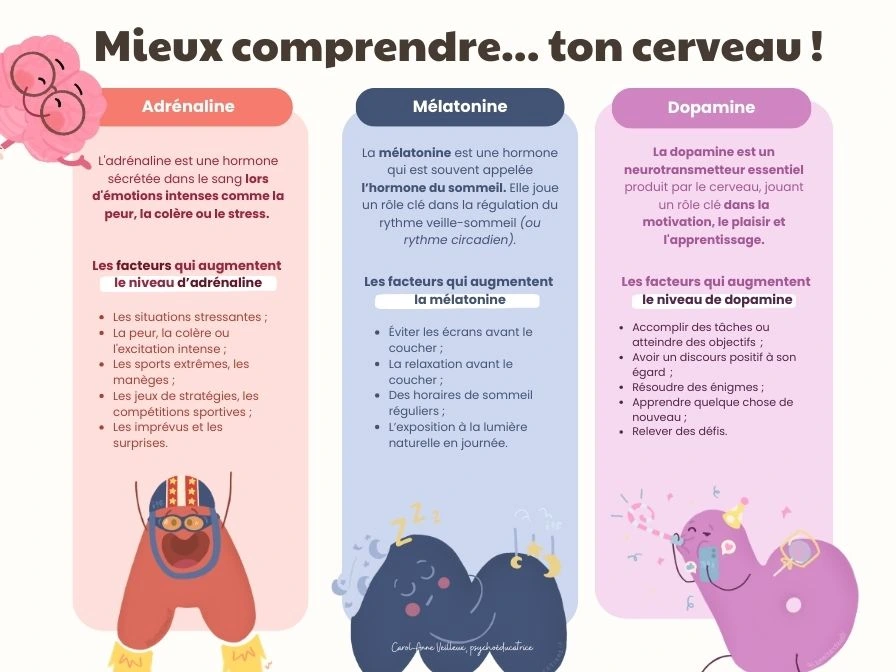 Mieux comprendre ton cerveau – Image 2