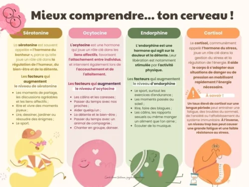 Mieux comprendre ton cerveau - Soutiensolutions