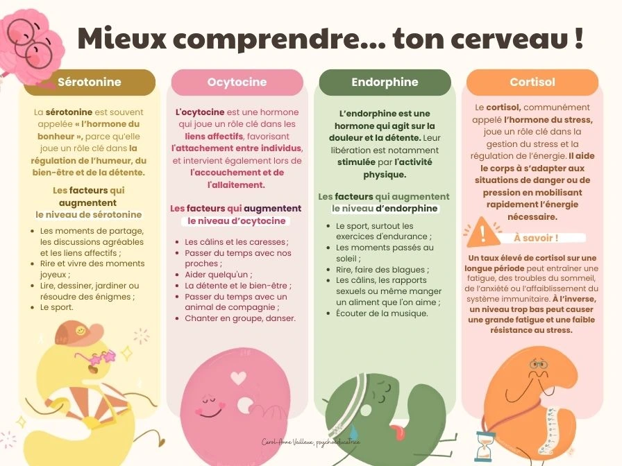 Mieux comprendre ton cerveau - Soutiensolutions
