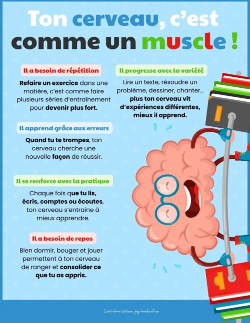 Ton cerveau, c'est comme un muscle