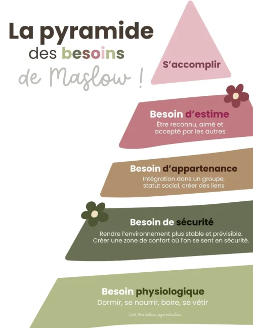 Pyramide des besoins de Maslow - Rose