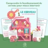Le cerveau en construction – Comprendre pour mieux intervenir