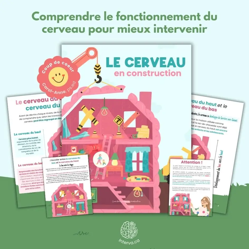 Le cerveau en construction – Comprendre pour mieux intervenir