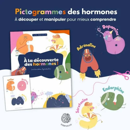 À la découverte des hormones – Pictogrammes à découper
