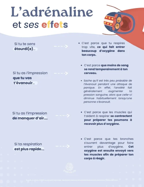L'adrénaline et ses effets