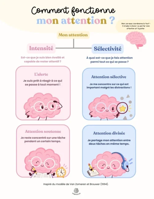 Comment fonctionne mon attention?